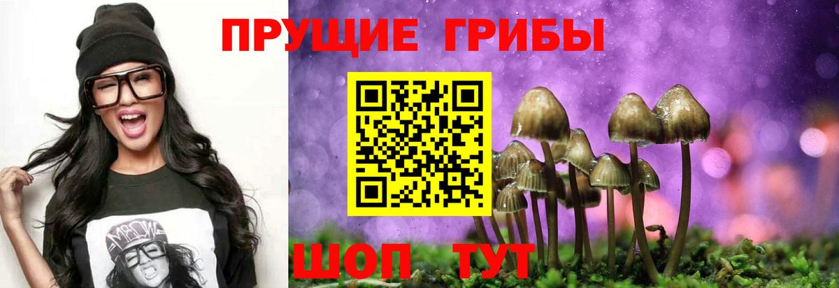 Галлюциногенные грибы Psilocybe  Вход с VPN  цены   Сергиев Посад 